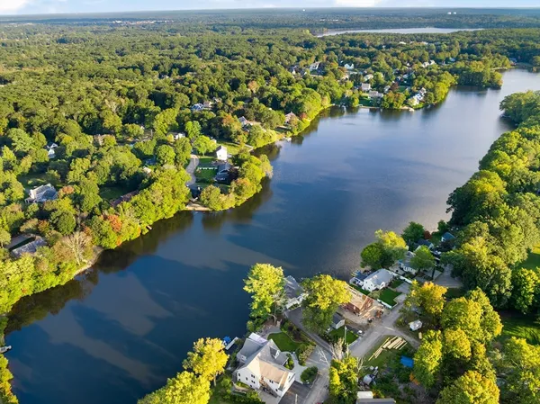 a view of a lake with a lot of flower and trees