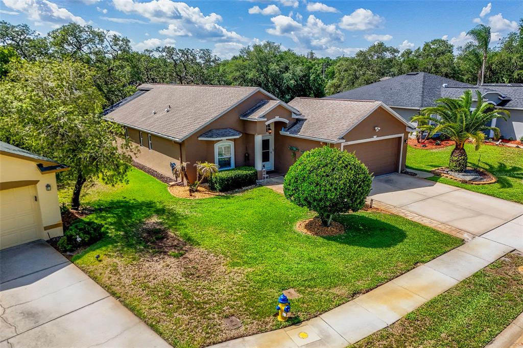 13253 Golf Ridge Place Hudson, FL 34669 - Photo 41 of 54