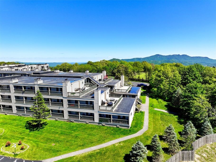 301 Pinnacle Inn Road, Unit 2218 Beech Mountain, NC 28604 - Photo 3 of 29