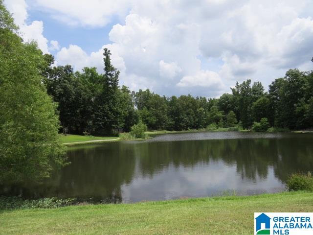 2725 Aspen Lake Road Helena, AL 35022 - Photo 39 of 42