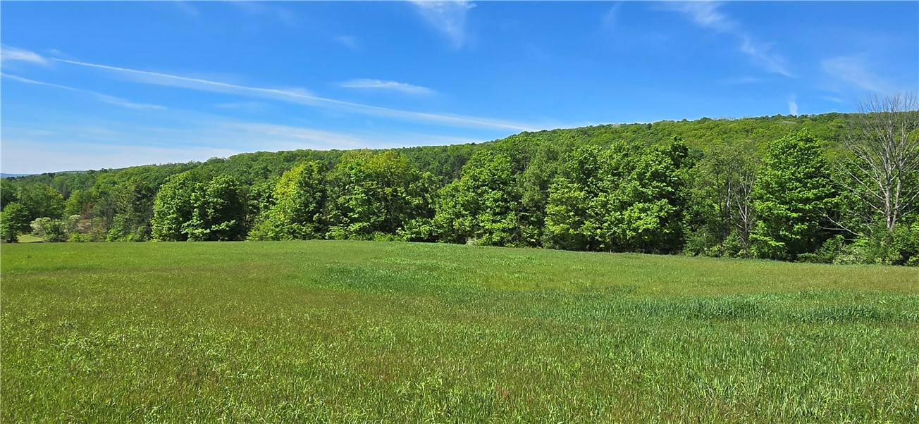 324 Murphy Hill Road Catlin, NY 14845 - Photo 33 of 47
