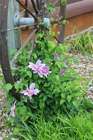 $660,000 | 36404 East County Line Road, Lone Jack, MO 64070