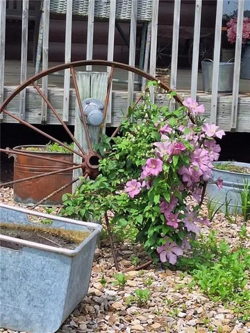 $685,000 | 36404 East County Line Road, Lone Jack, MO 64070