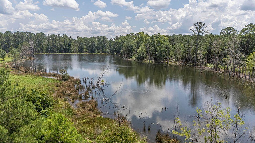 541 Key Road Modoc, SC 29838 - Photo 5 of 27