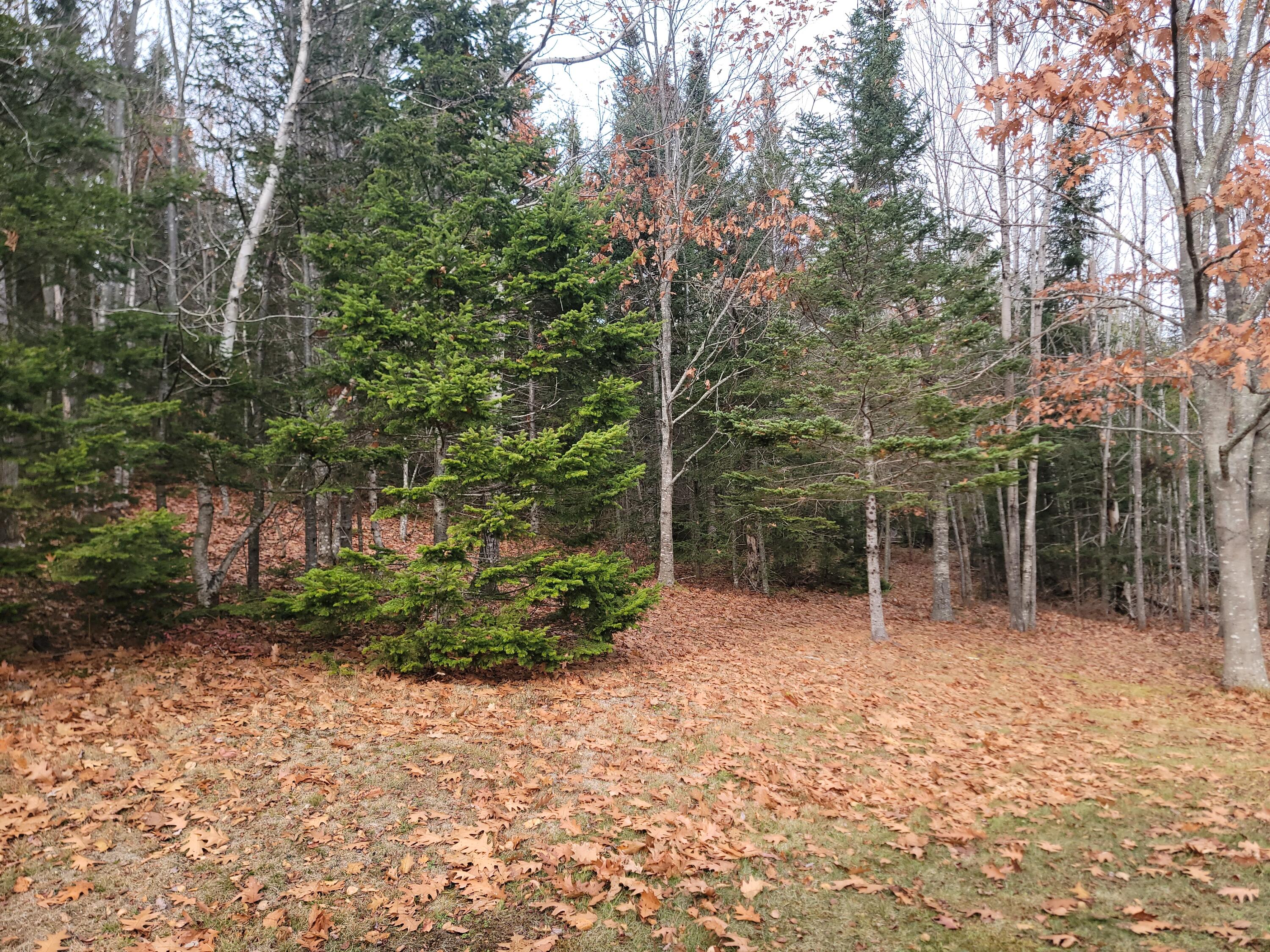 130 Shipyard Road Dennysville, ME 04628 - Photo 10 of 33