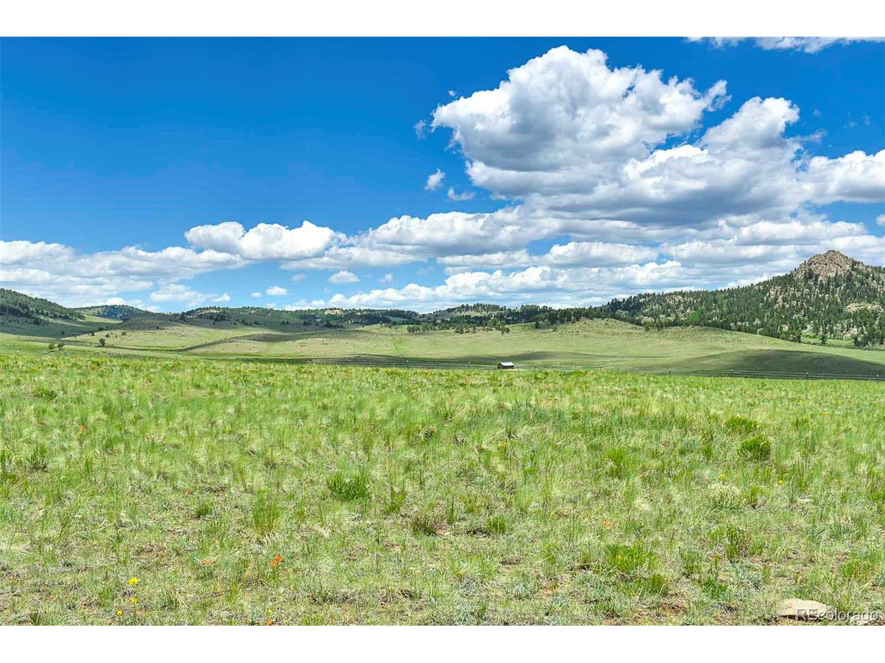 63 County Road Guffey, CO 80820 - Photo 4 of 35 Gallery Image 4