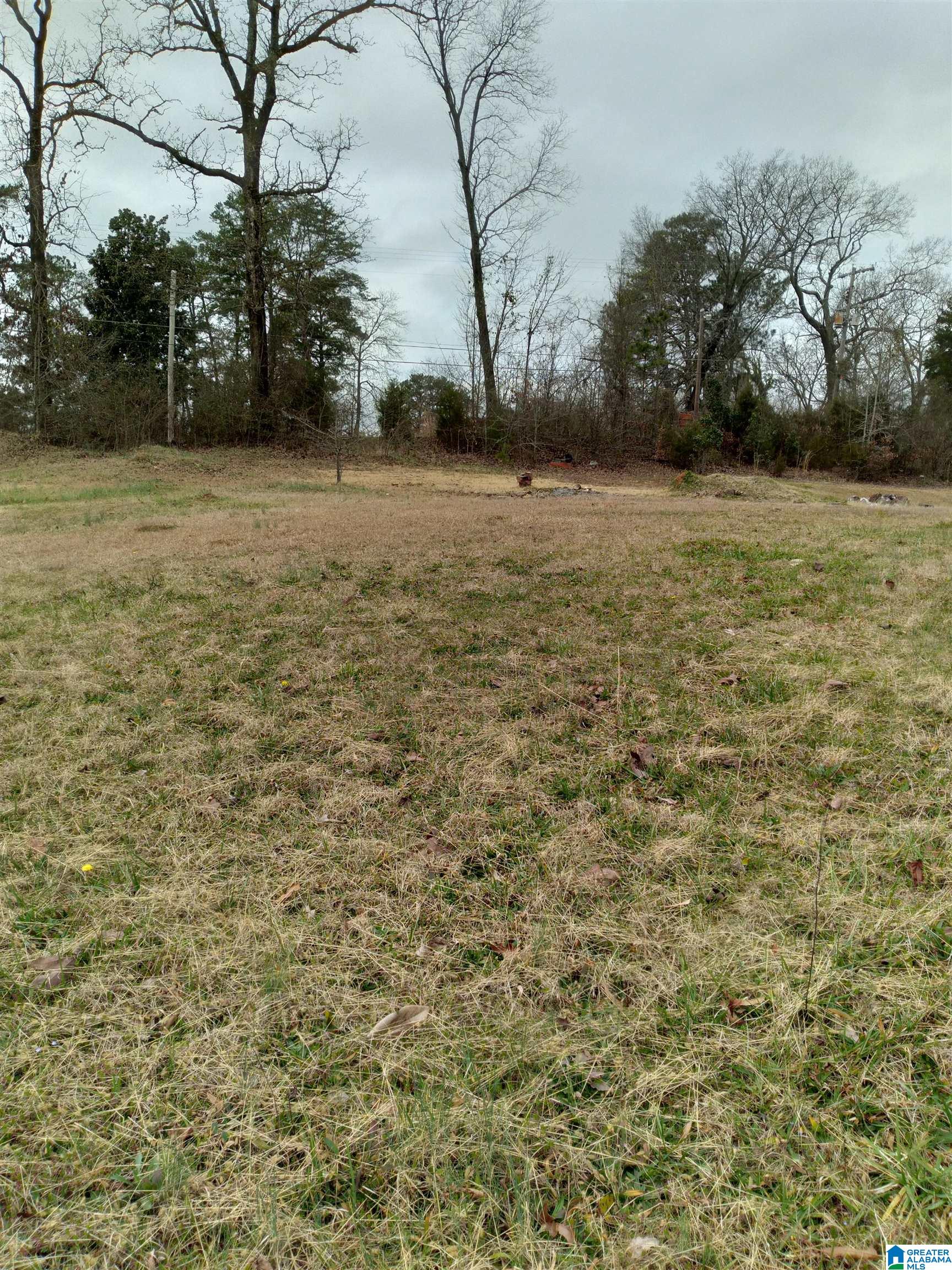 300 Ridge Avenue, Unit 15 16 Bessemer, AL 35020 - Photo 3 of 4