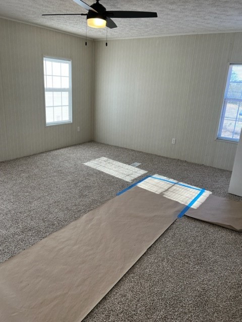 955 Burris Road Iva, SC 29655 - Photo 15 of 24