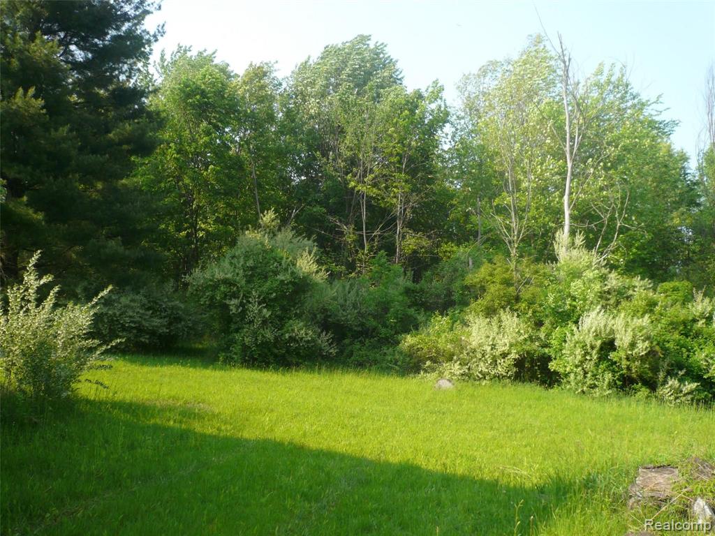 0 East Romeo Road Oakland, MI 48363 - Photo 10 of 18