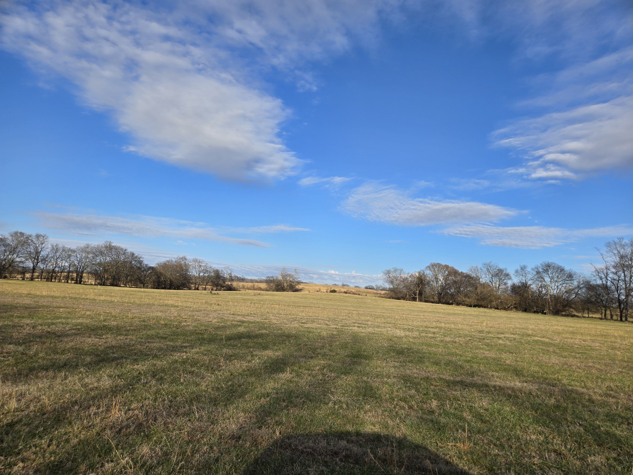 4 Deshea Creek Road Gallatin, TN 37066 - Photo 2 of 6 a view of an ocean