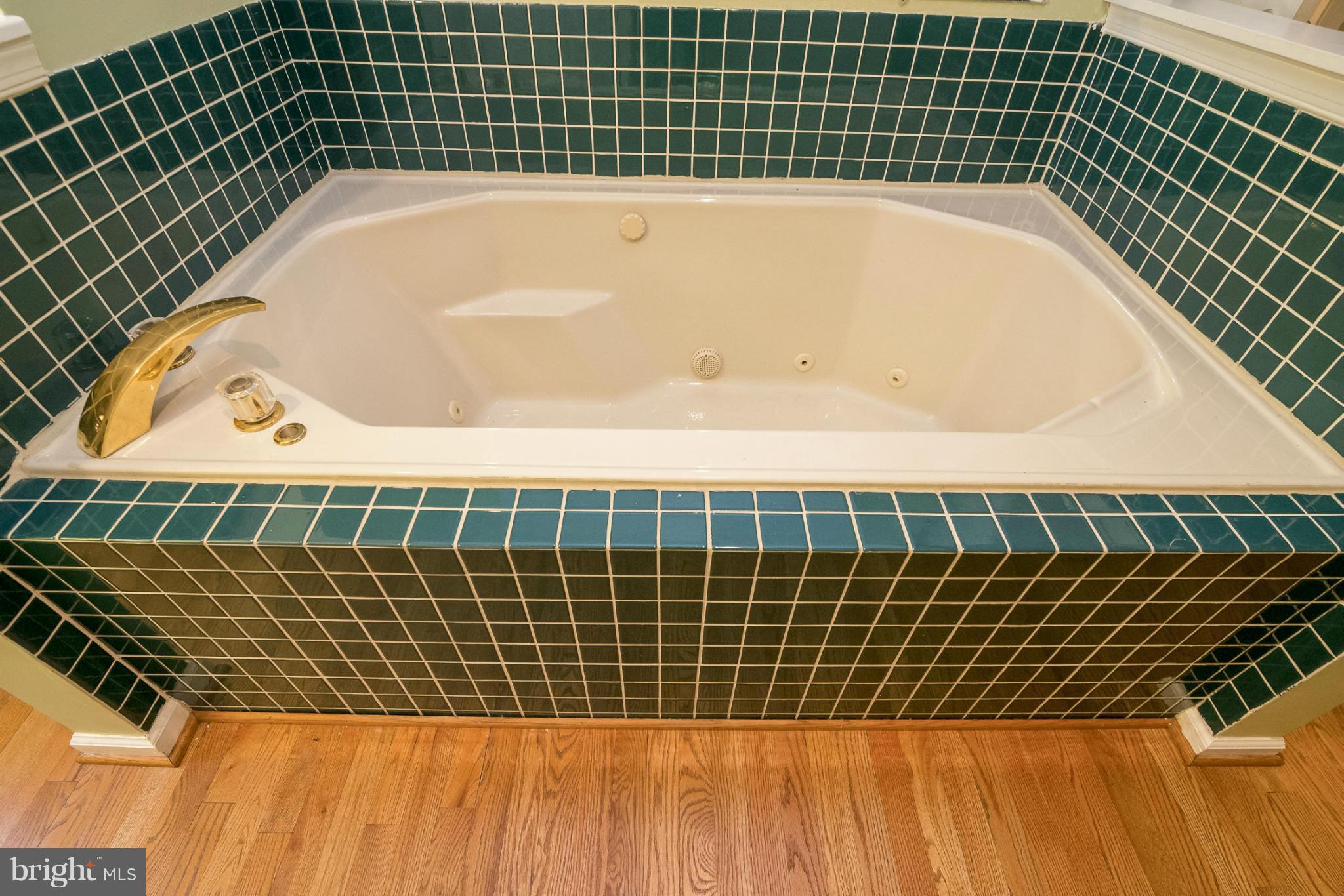 587 Over Ridge Drive Frederick, MD 21703 - Photo 21 of 30 Bath (Master)