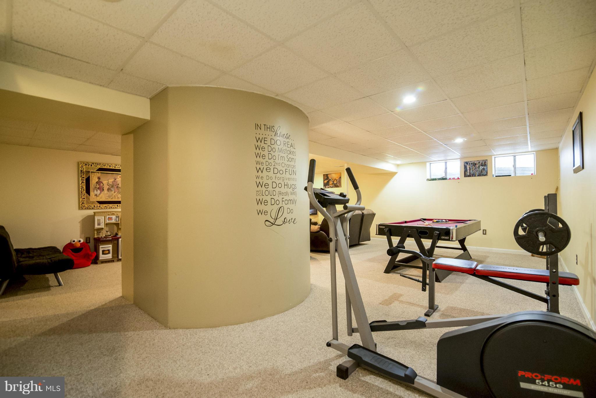 587 Over Ridge Drive Frederick, MD 21703 - Photo 28 of 30 Finished Basement
