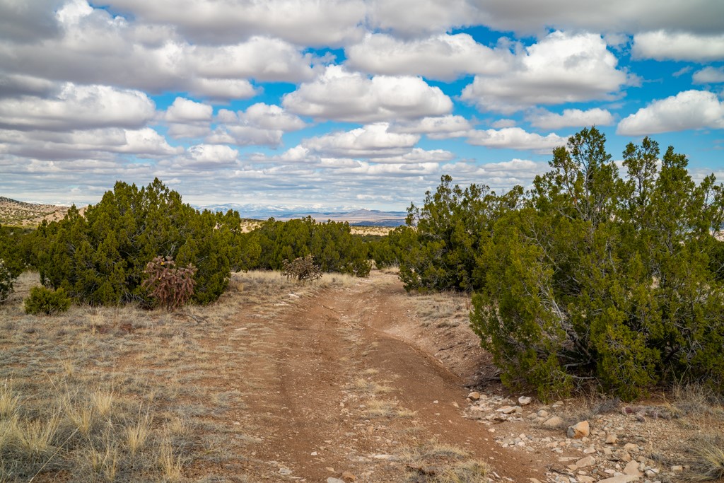Tbd Hanuman Road Cerrillos, NM 87010 - Photo 18 of 33