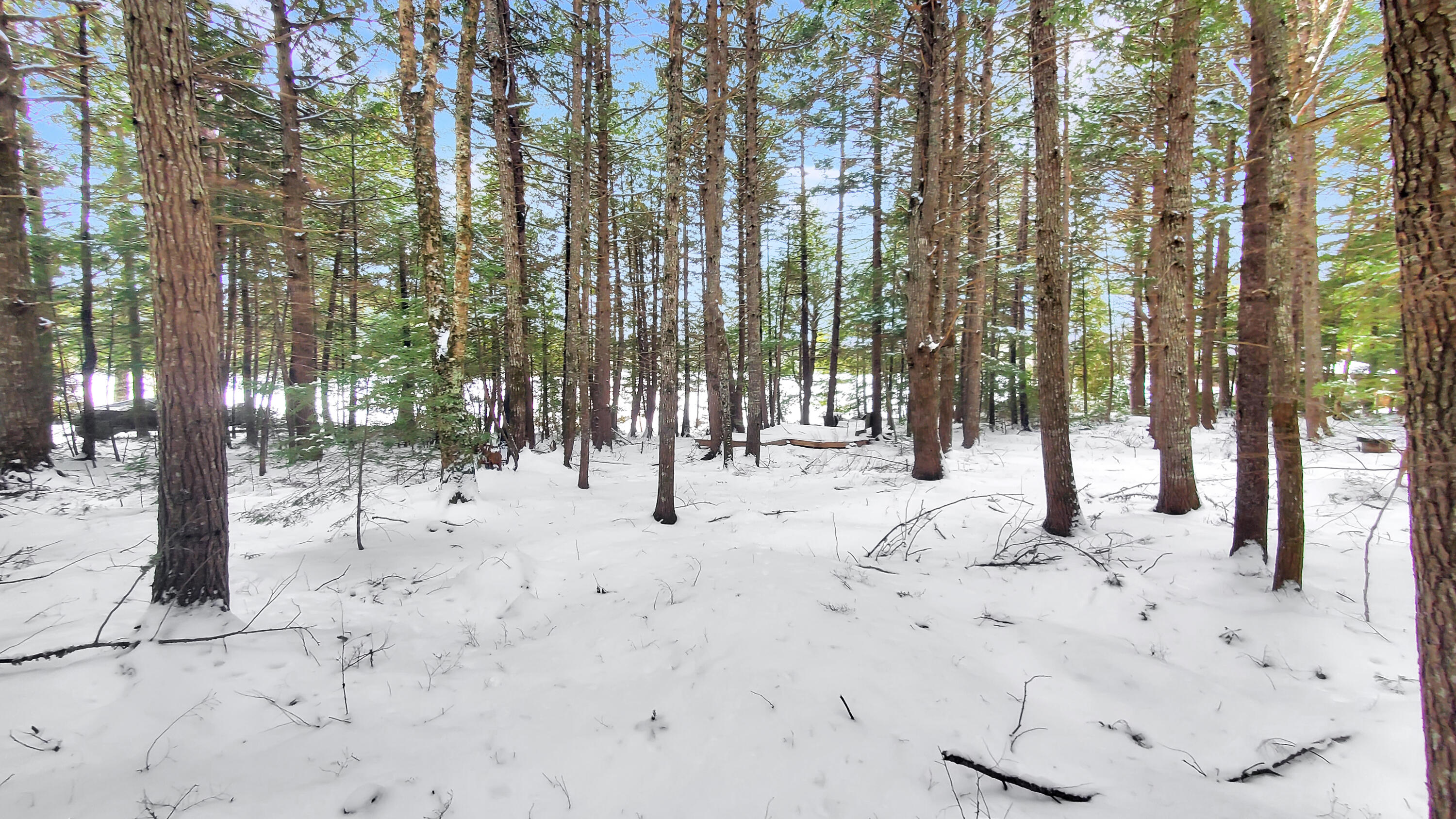 307 Lakeville Shores Road Lakeville, ME 04487 - Photo 11 of 39 Bottle Lake 4