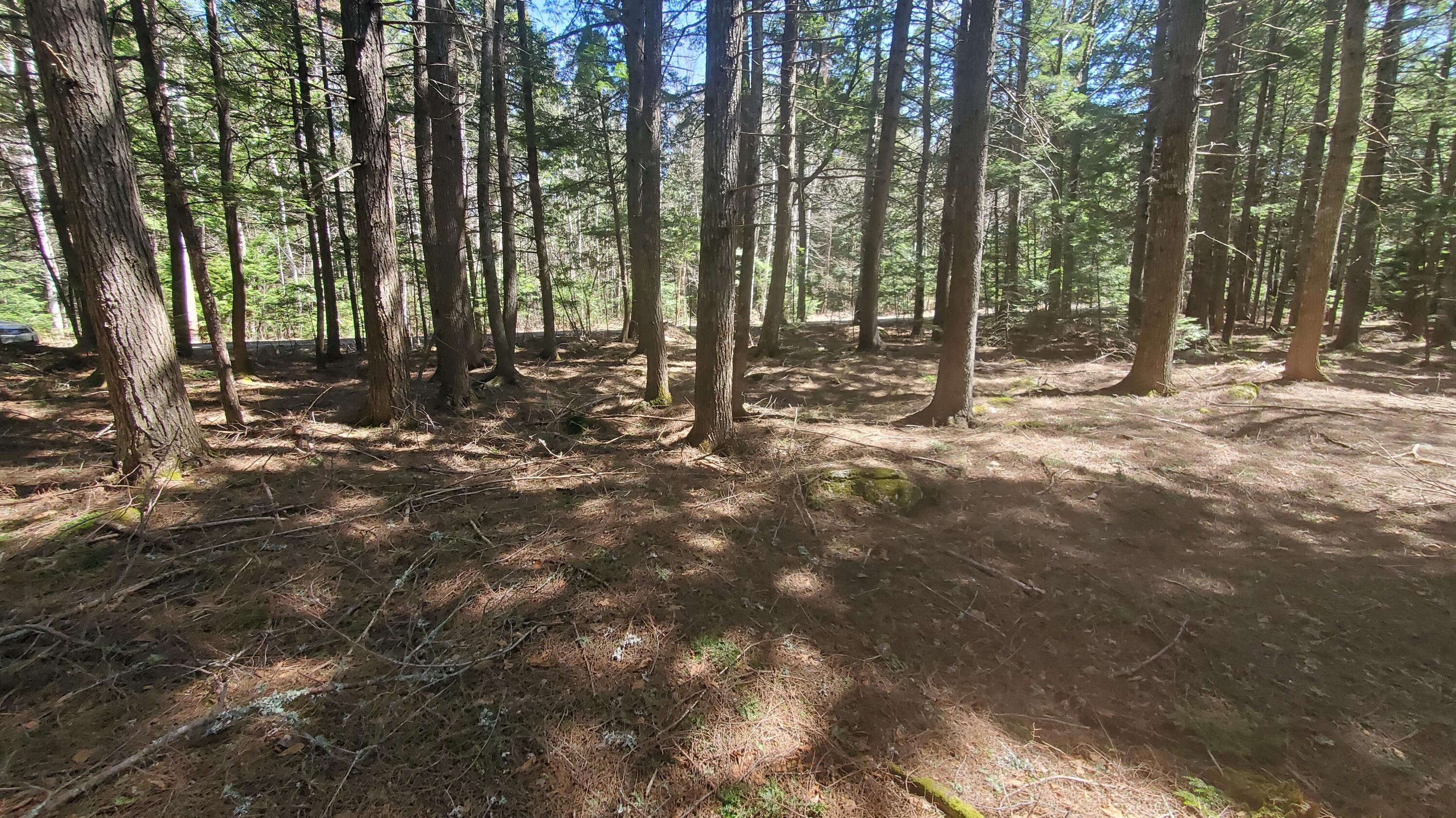 307 Lakeville Shores Road Lakeville, ME 04487 - Photo 12 of 39 20250430_114058