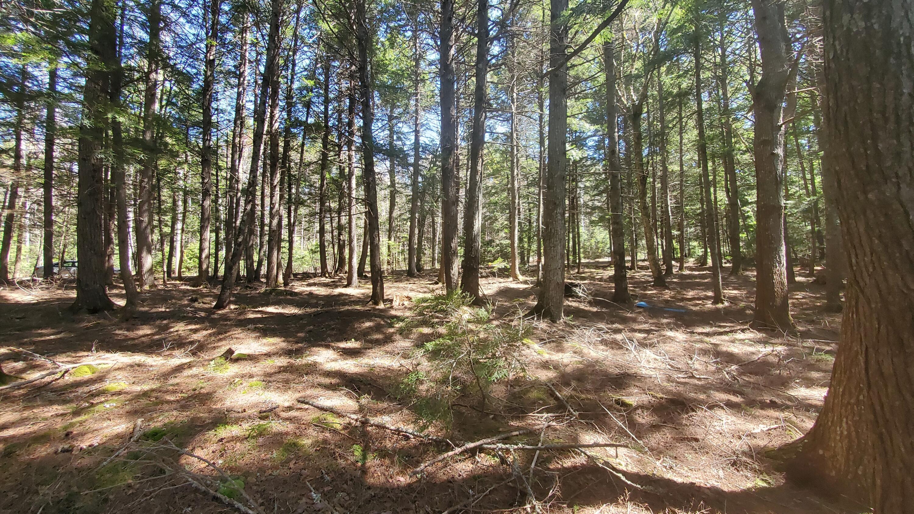 307 Lakeville Shores Road Lakeville, ME 04487 - Photo 13 of 39 20250430_114021