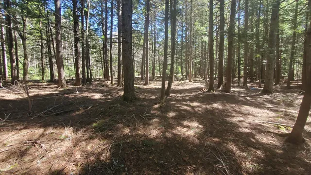 $125,000 | 307 Lakeville Shores Road, Lakeville, ME 04487