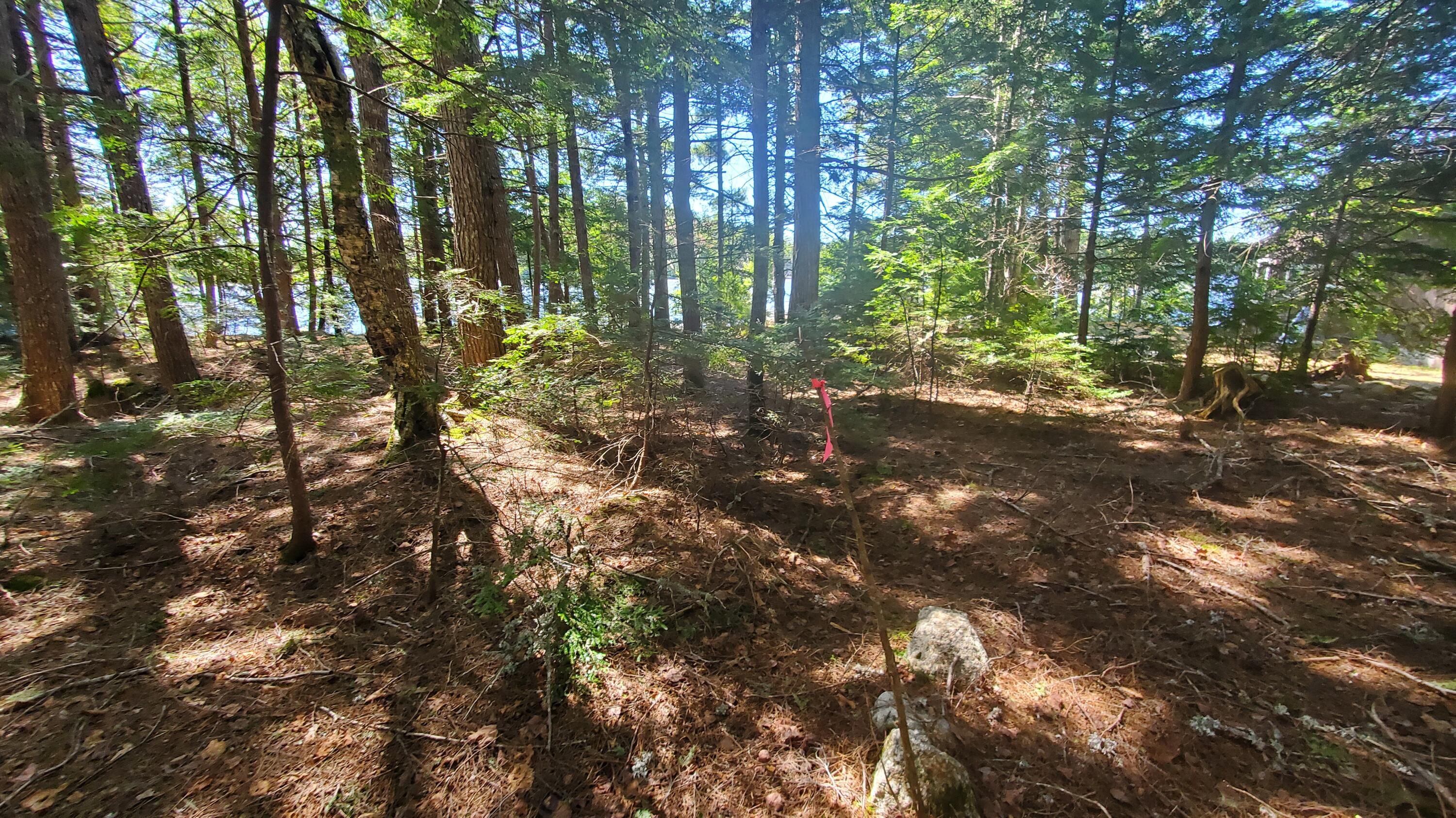 307 Lakeville Shores Road Lakeville, ME 04487 - Photo 15 of 39 20250430_114044