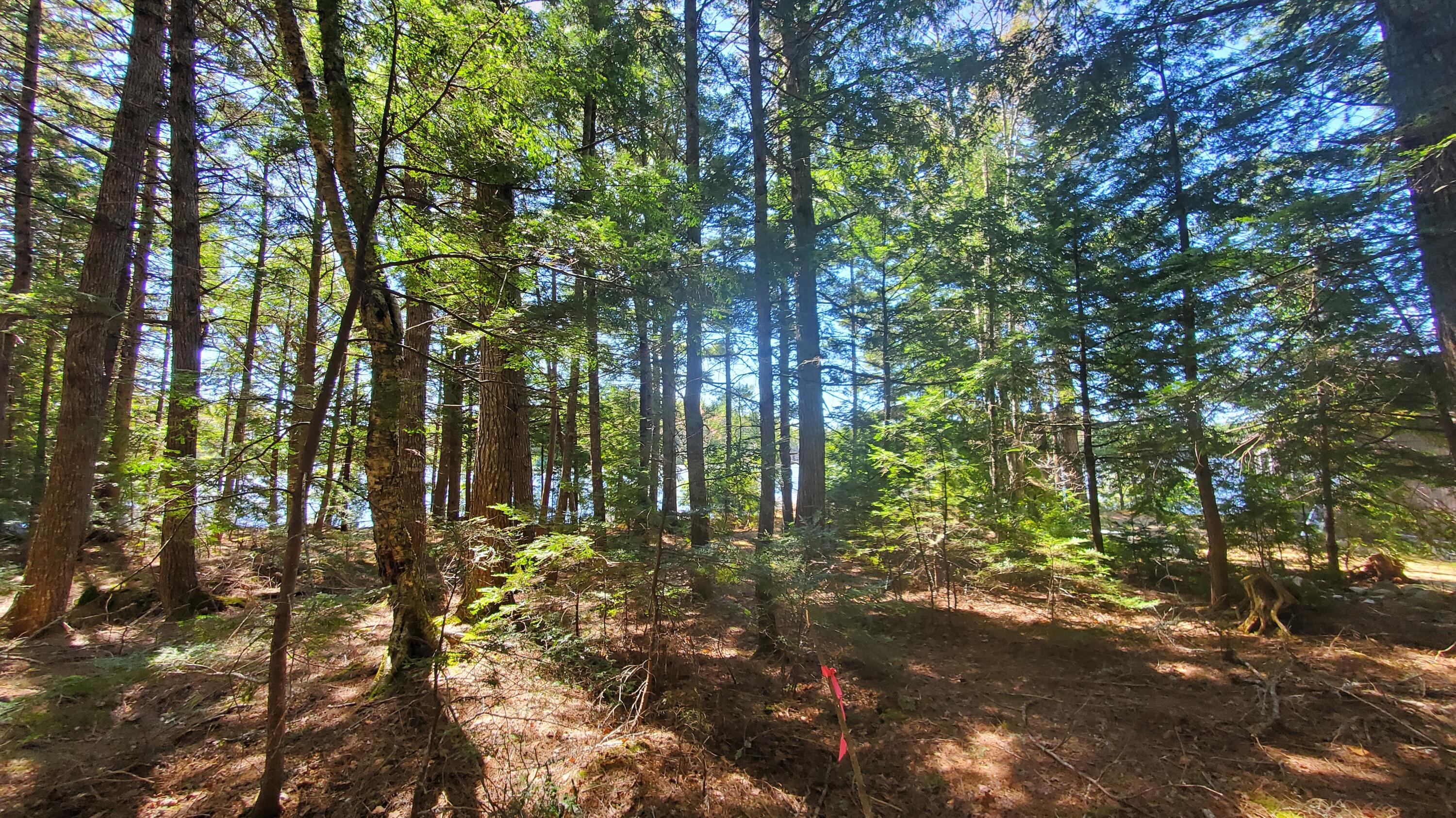 307 Lakeville Shores Road Lakeville, ME 04487 - Photo 16 of 39 20250430_114046