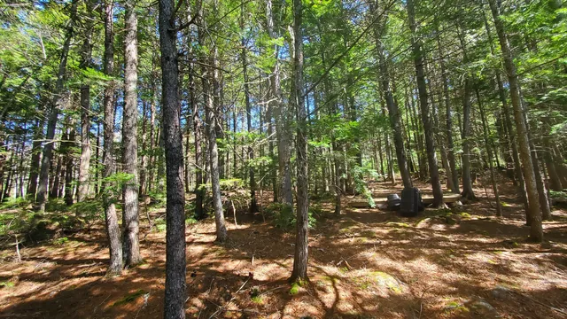 $125,000 | 307 Lakeville Shores Road, Lakeville, ME 04487