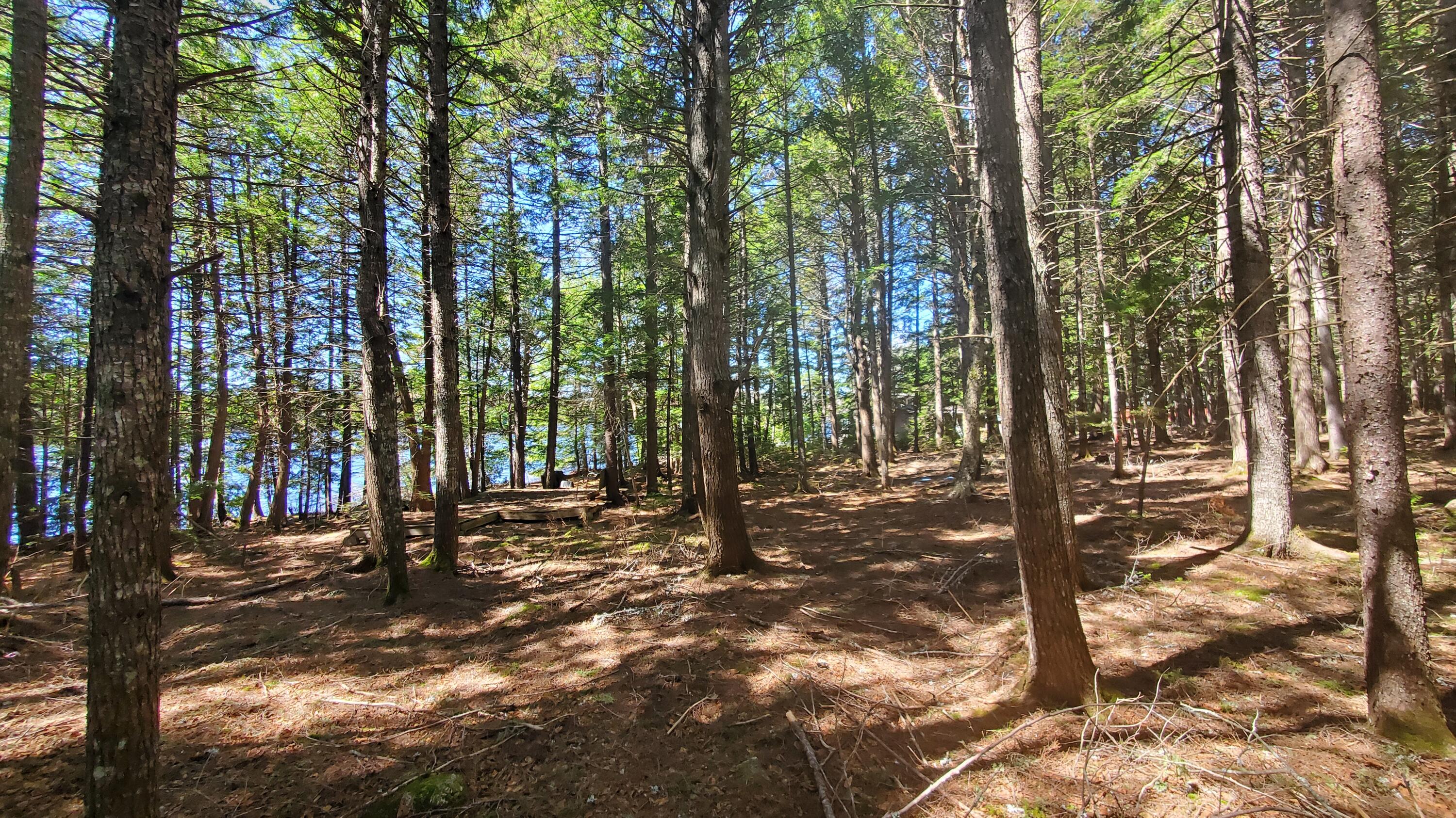 307 Lakeville Shores Road Lakeville, ME 04487 - Photo 20 of 39 20250430_113442