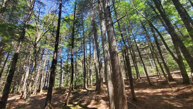 $125,000 | 307 Lakeville Shores Road, Lakeville, ME 04487