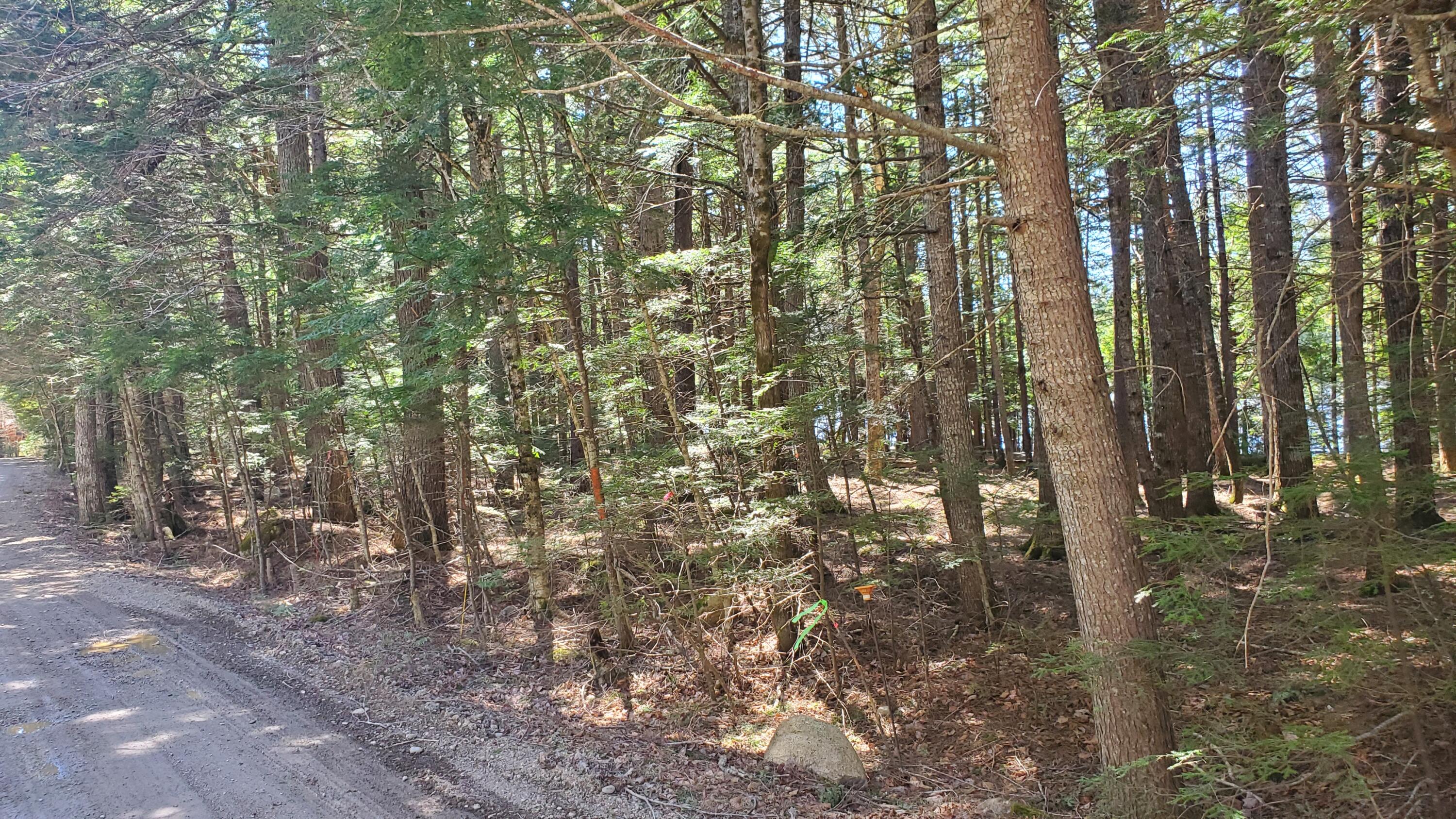 307 Lakeville Shores Road Lakeville, ME 04487 - Photo 23 of 39 20250430_113231