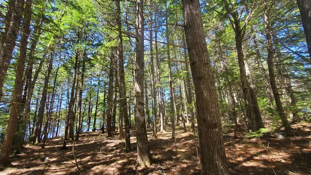 $125,000 | 307 Lakeville Shores Road, Lakeville, ME 04487