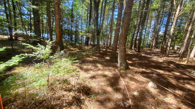 $125,000 | 307 Lakeville Shores Road, Lakeville, ME 04487