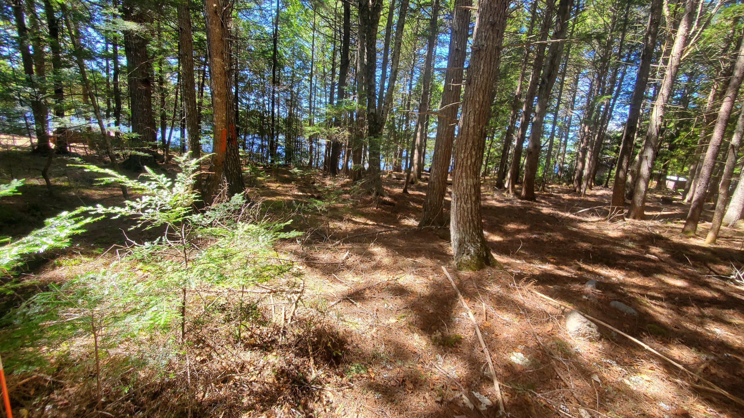 307 Lakeville Shores Road Lakeville, ME 04487 - Photo 28 of 39 20250430_113429