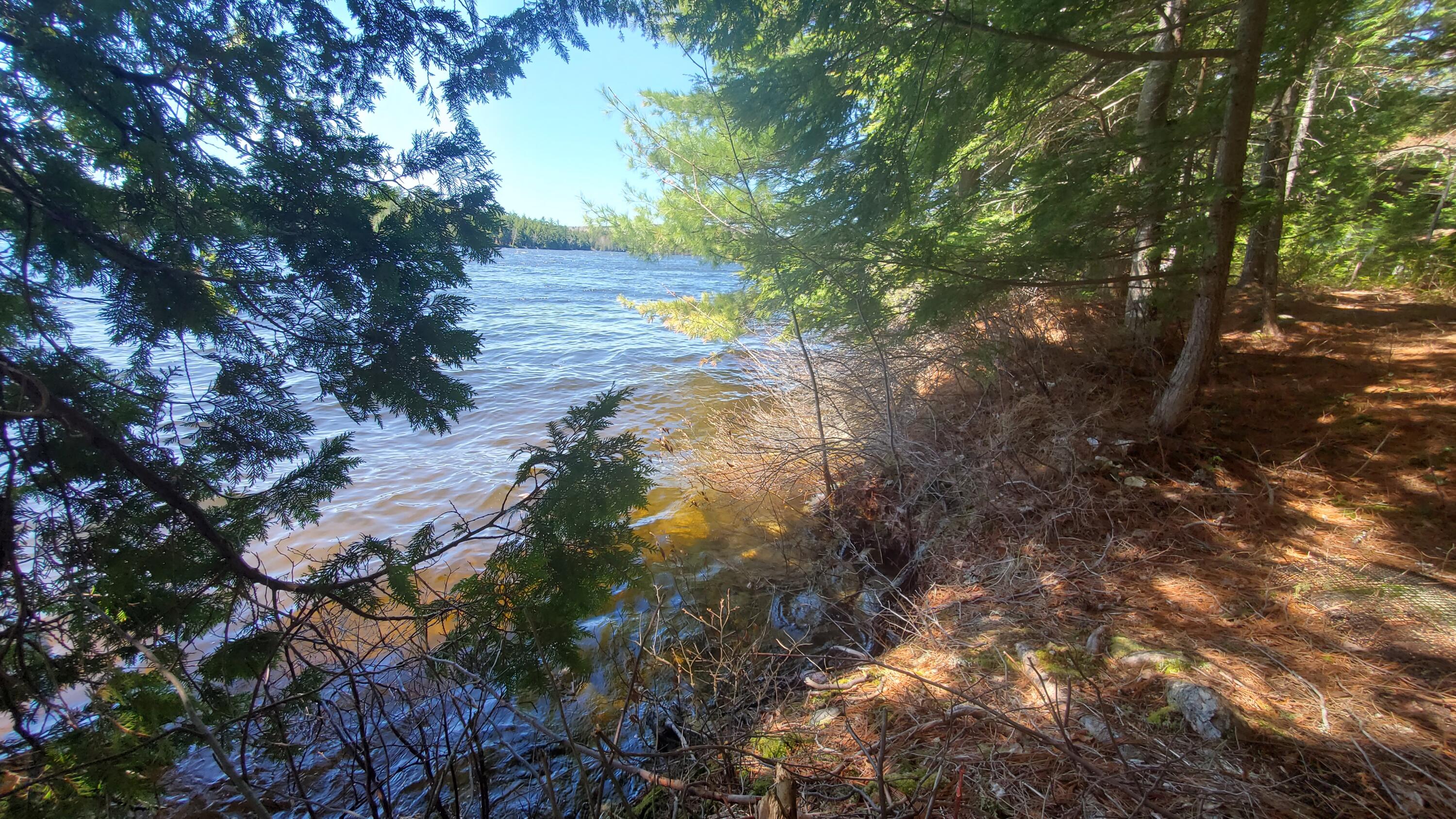 307 Lakeville Shores Road Lakeville, ME 04487 - Photo 31 of 39 20250430_113631