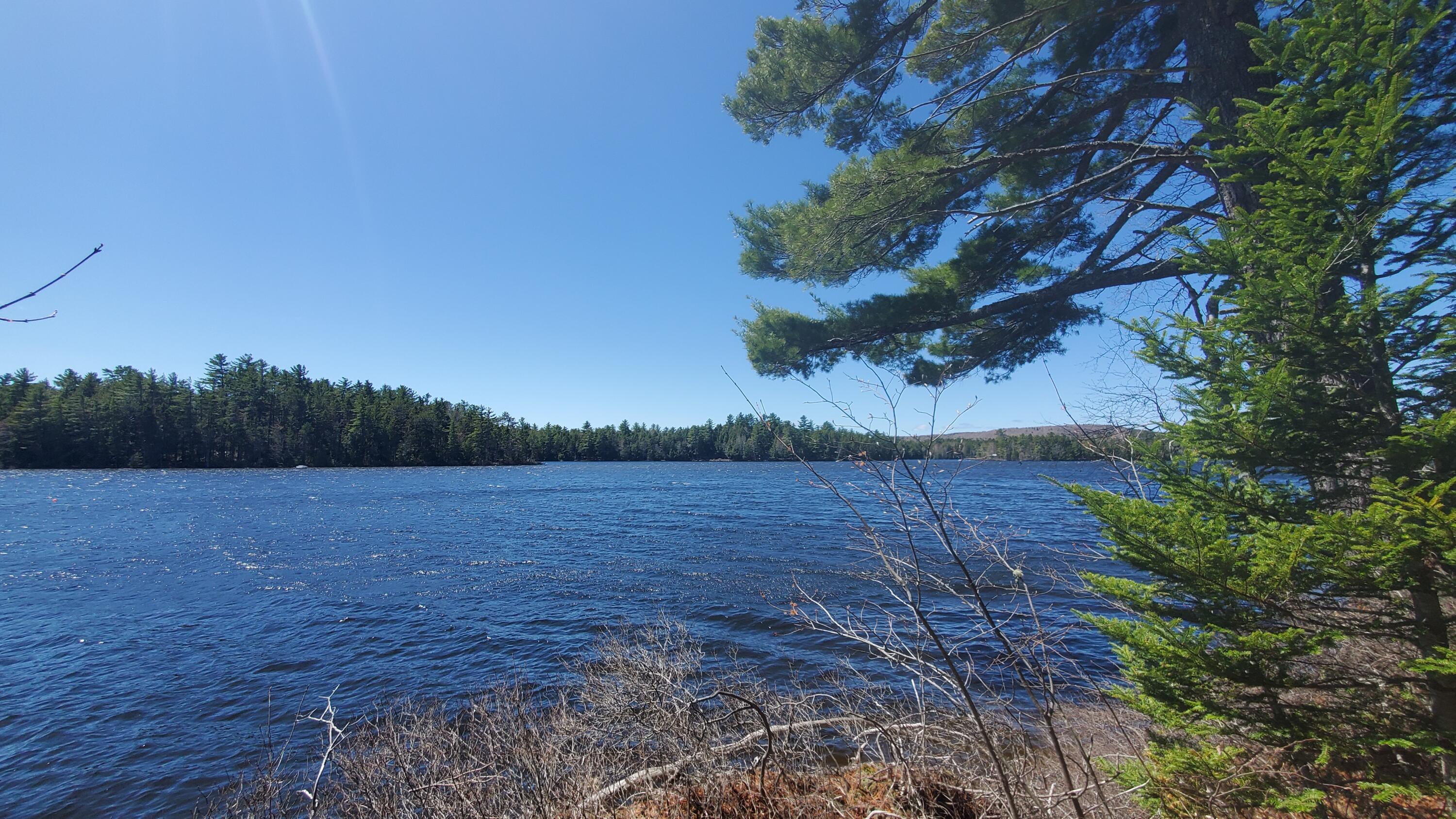 307 Lakeville Shores Road Lakeville, ME 04487 - Photo 32 of 39 20250430_113754