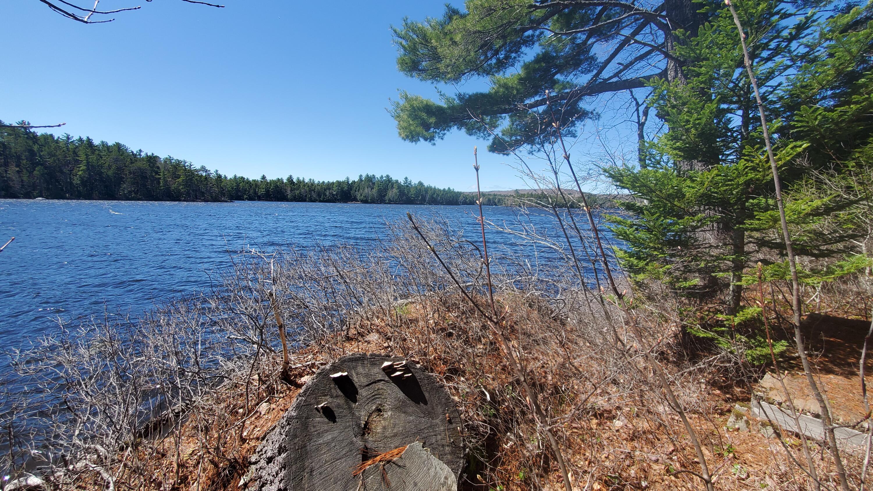 307 Lakeville Shores Road Lakeville, ME 04487 - Photo 33 of 39 20250430_113802