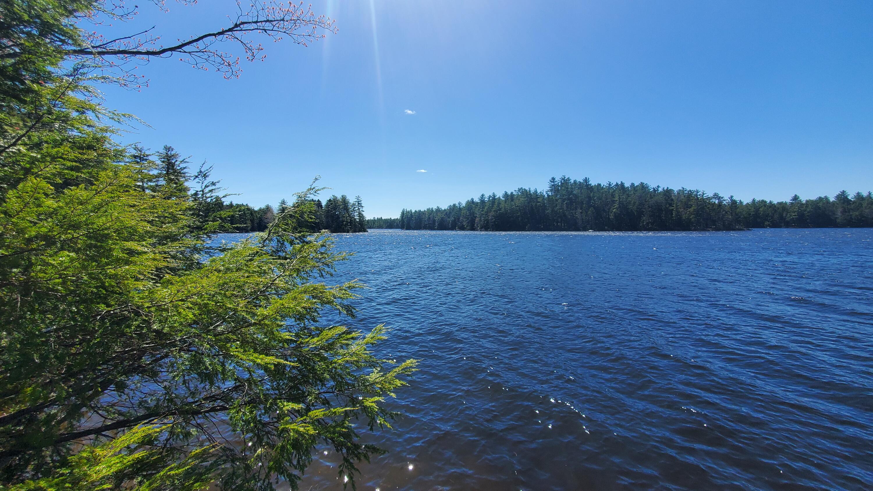 307 Lakeville Shores Road Lakeville, ME 04487 - Photo 36 of 39 20250430_113817