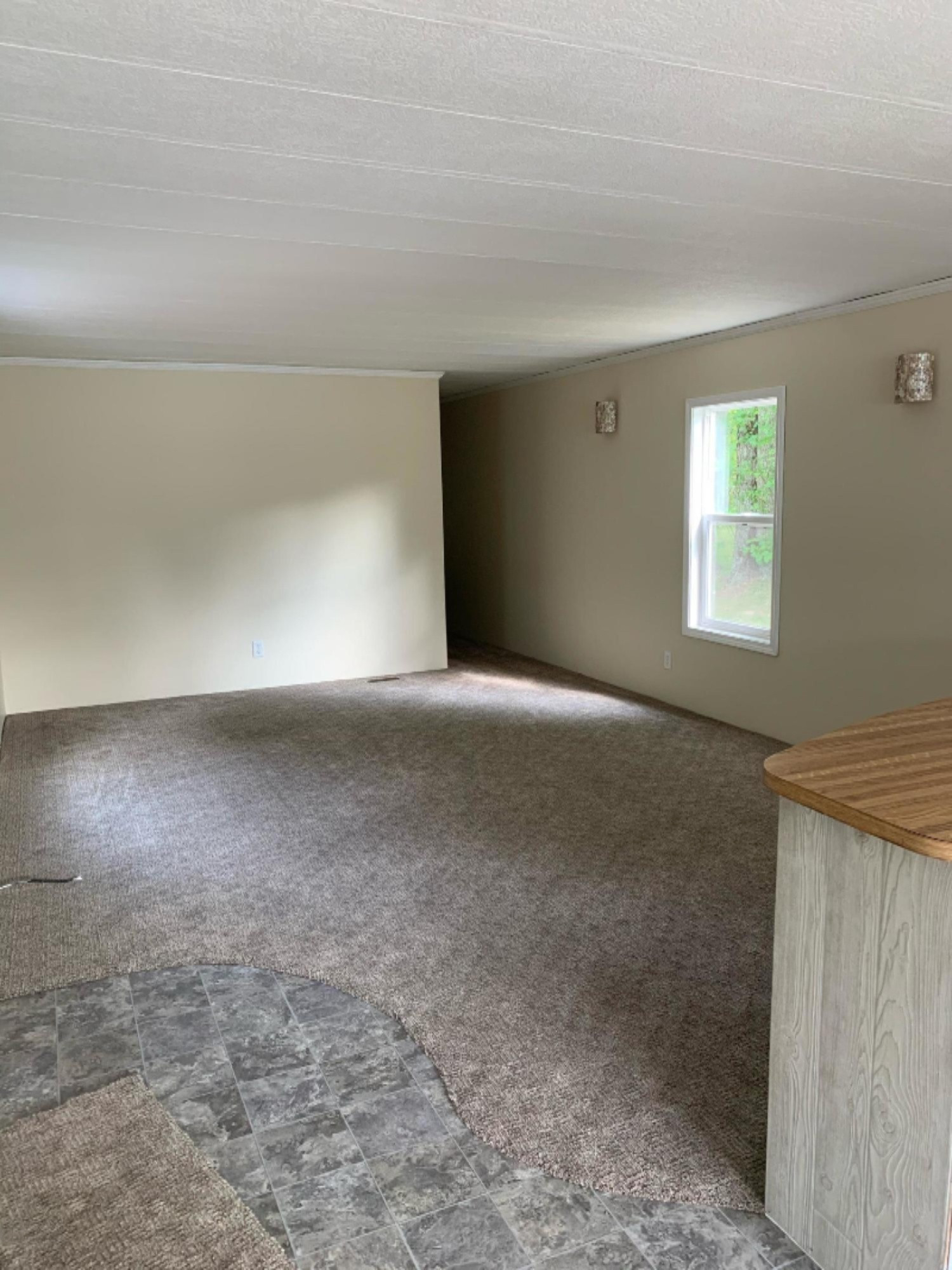 125 Madison Road Stanwood, MI 49346 - Photo 13 of 22 living room