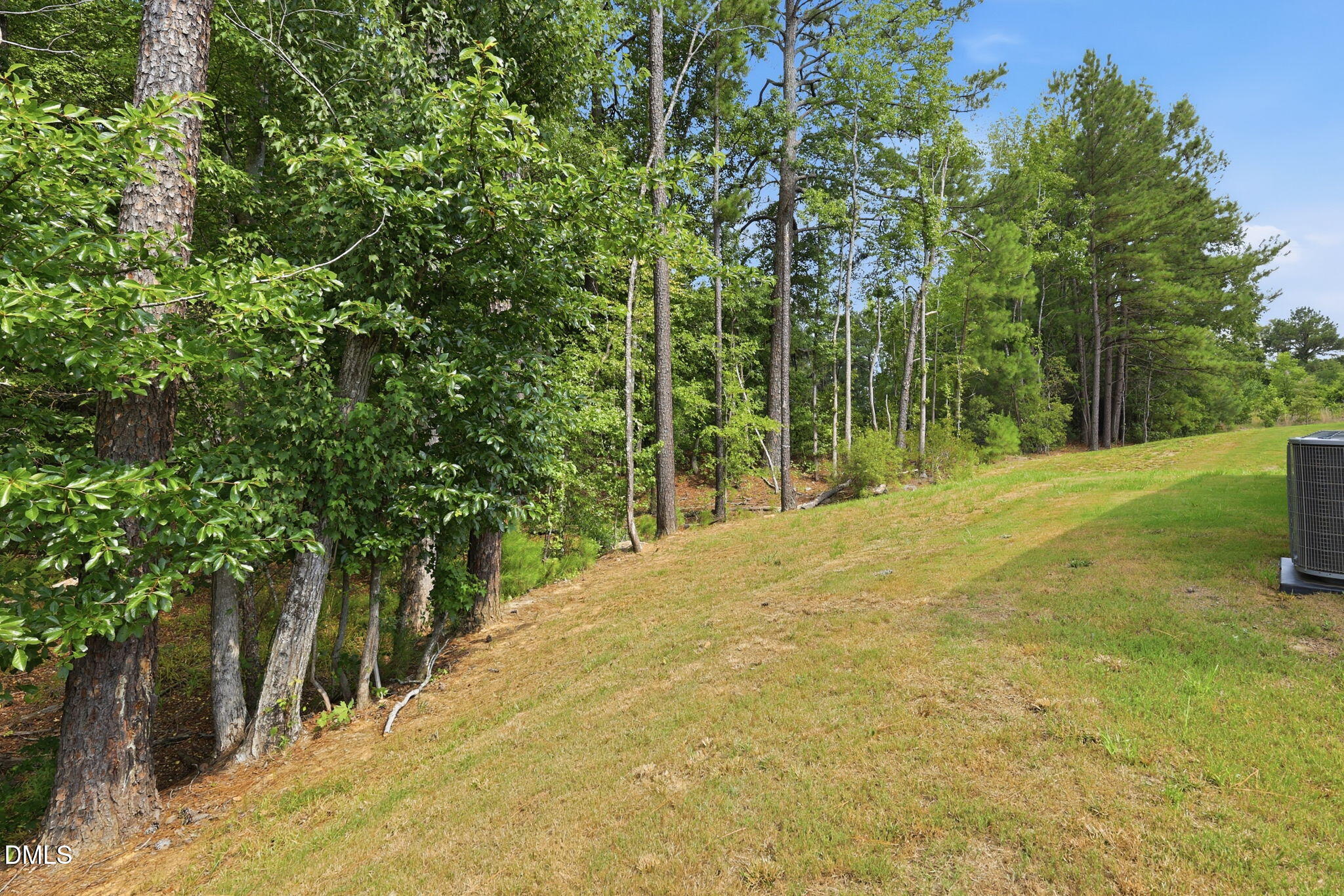 90 Everglade Way Angier, NC 27501 - Photo 32 of 36 a view of a yard with plants and trees