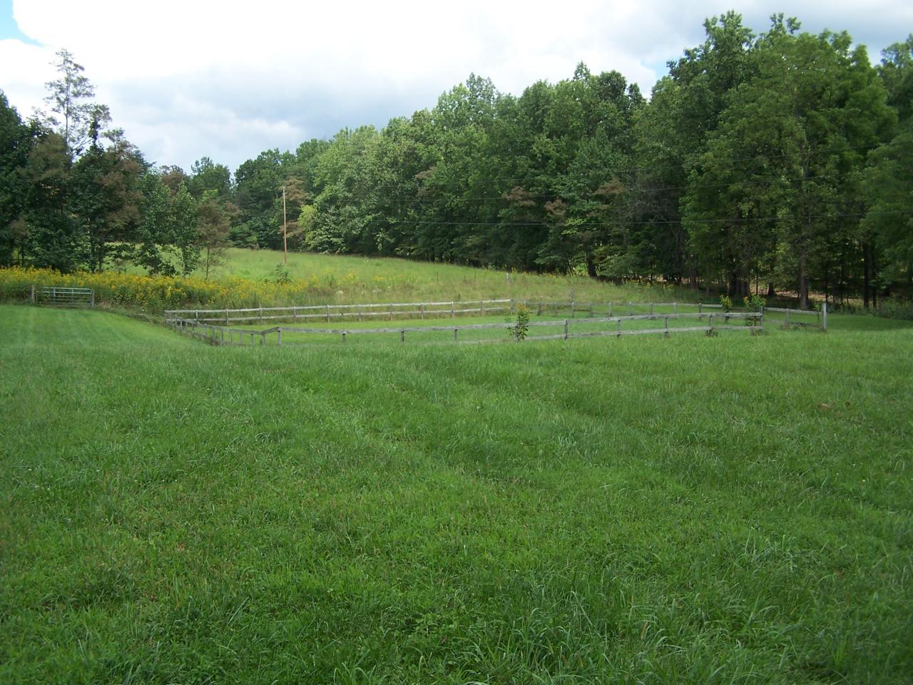 Pasture