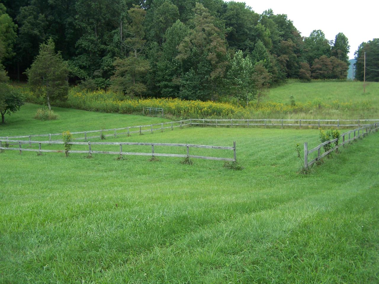 Riding area