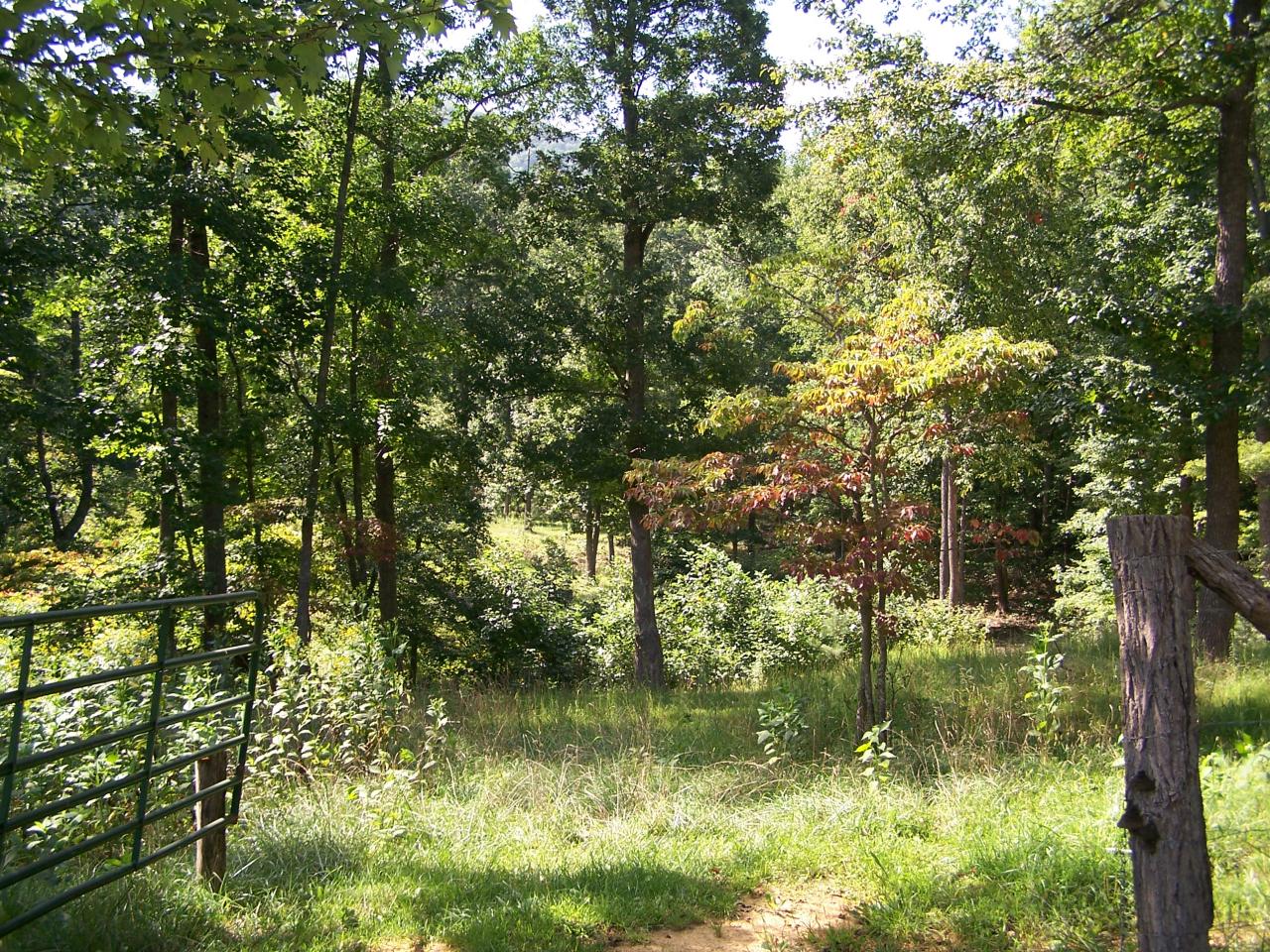 2655 Lees Gap Road Fincastle, VA 24090 - Photo 36 of 37 Pasture/Woods