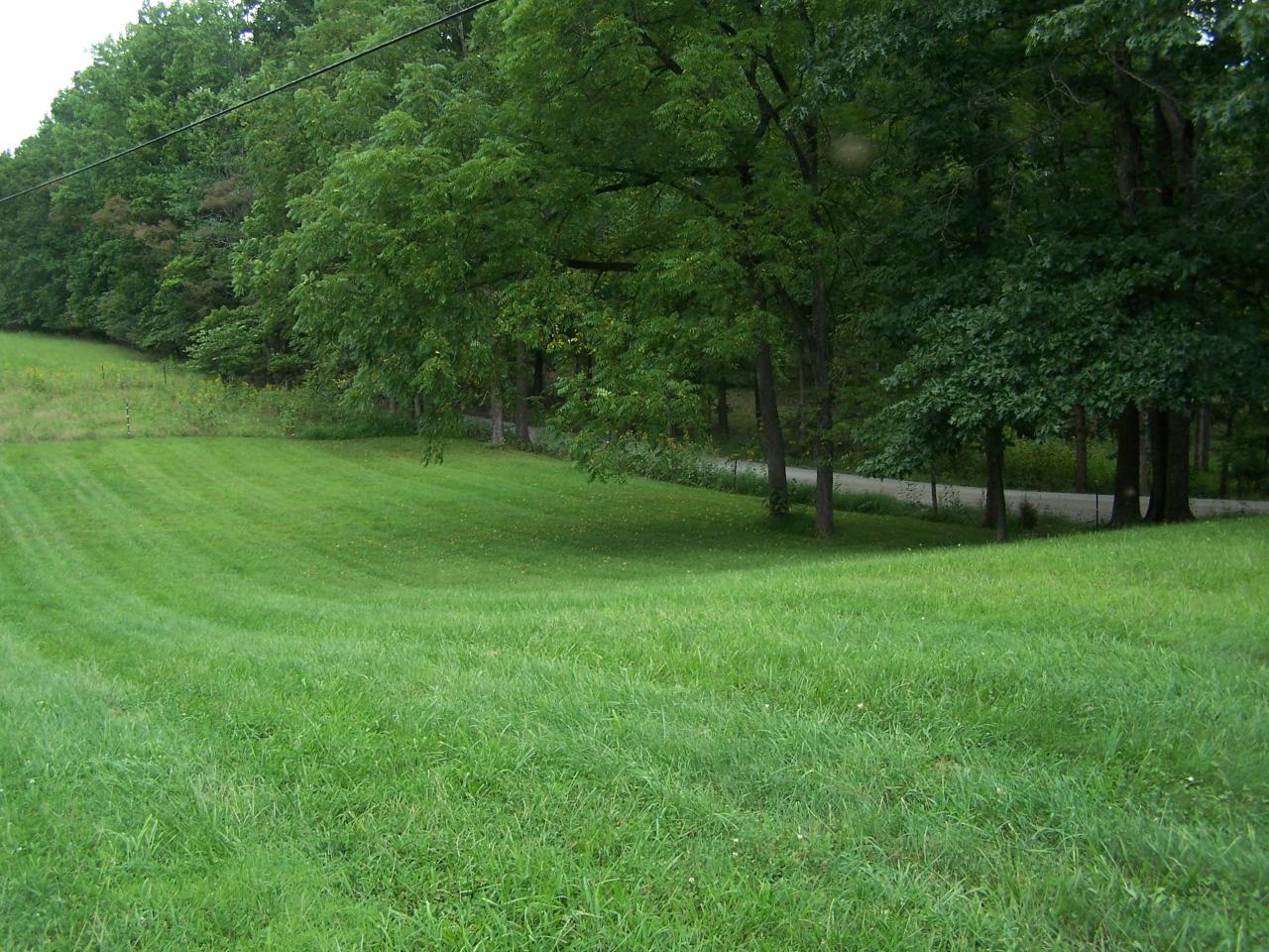 Pasture