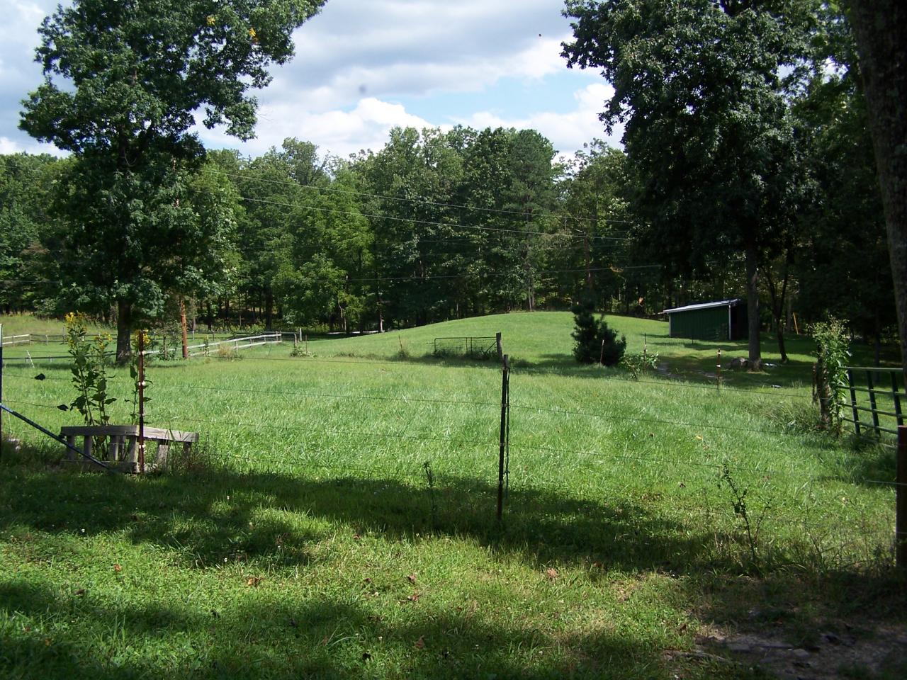 2655 Lees Gap Road Fincastle, VA 24090 - Photo 8 of 37 Pasture