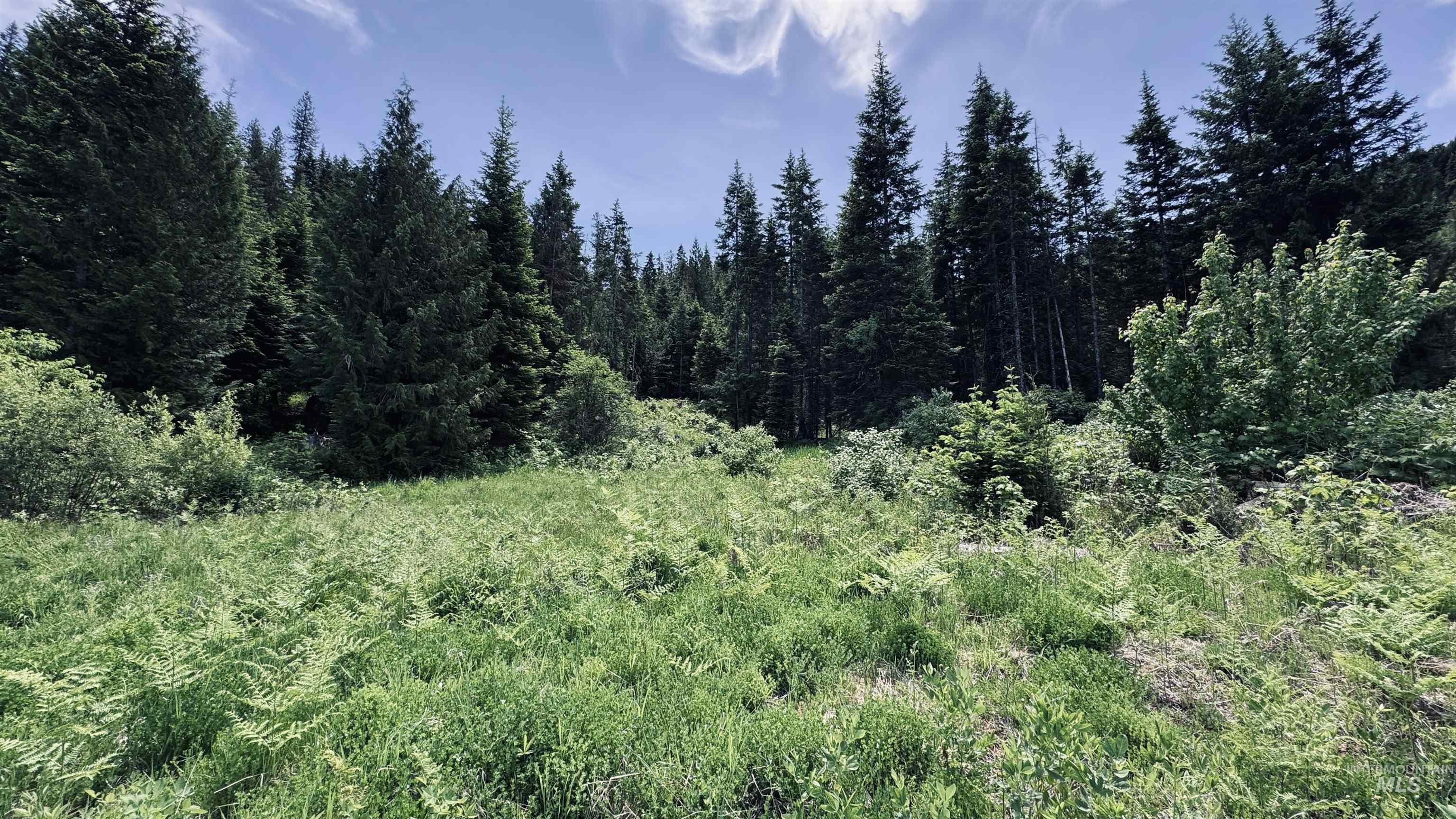 Tbd Glenwood Road Kamiah, ID 83536 - Photo 42 of 50