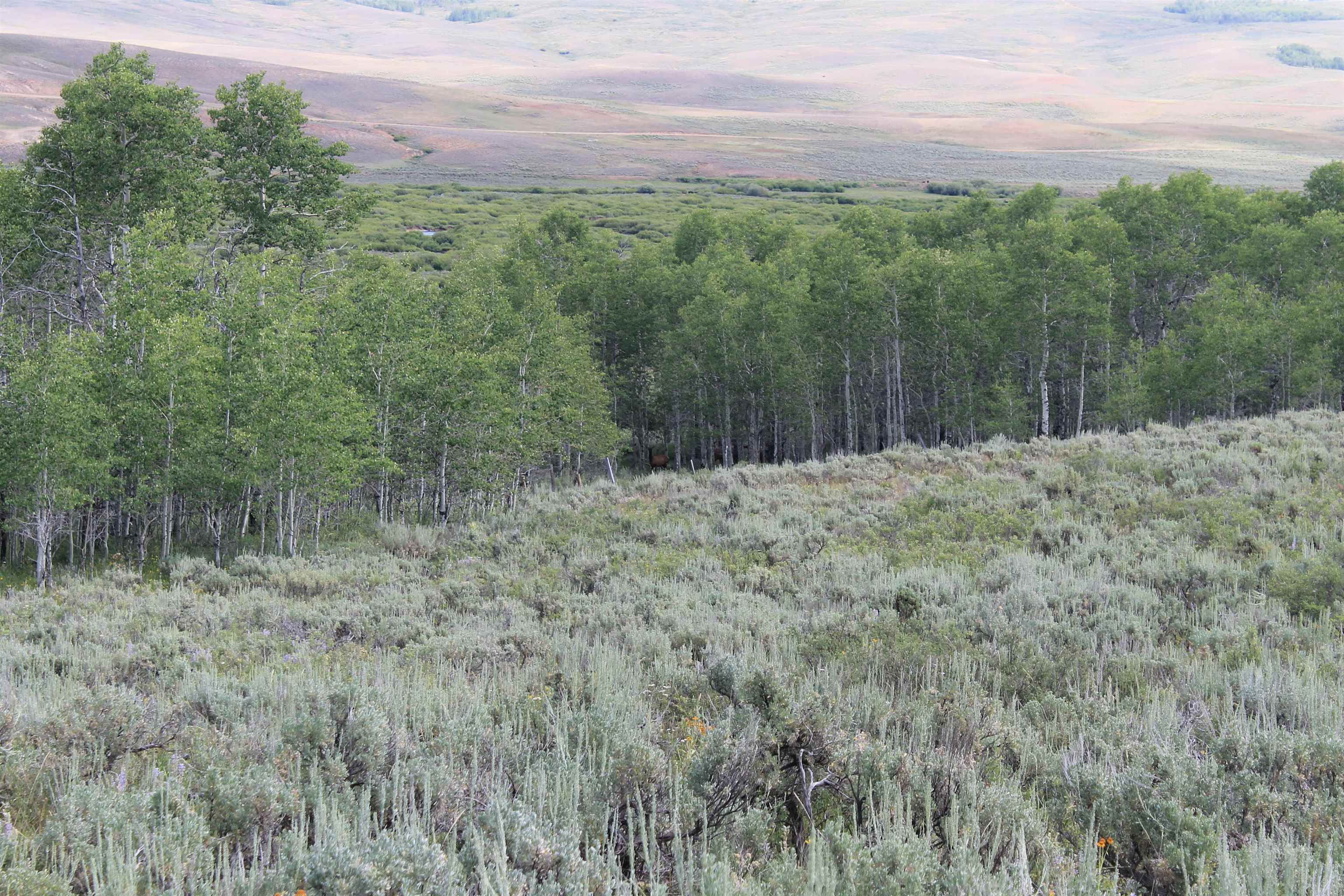 0 County Road 305 Kemmerer, WY 83101 - Photo 11 of 50