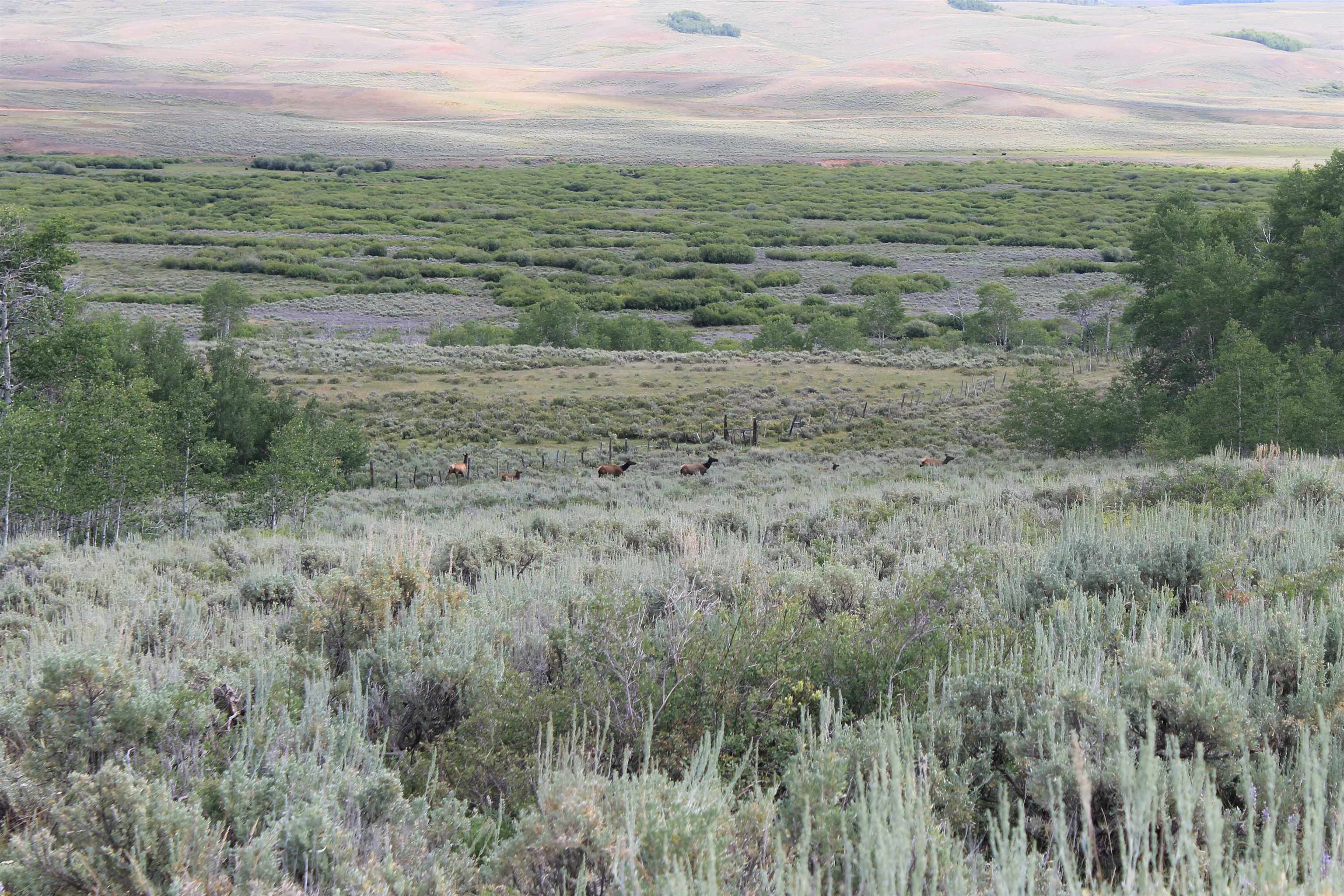 0 County Road 305 Kemmerer, WY 83101 - Photo 12 of 50