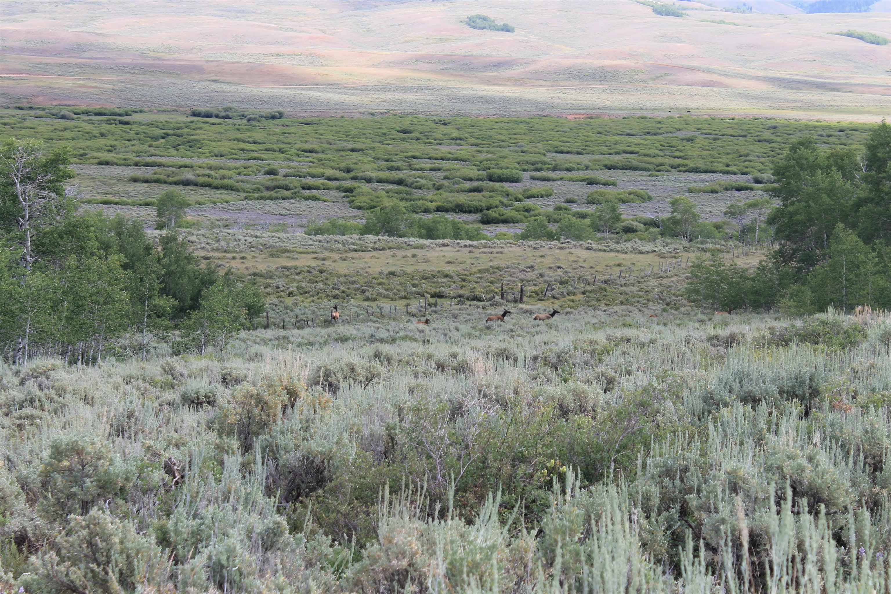 0 County Road 305 Kemmerer, WY 83101 - Photo 13 of 50