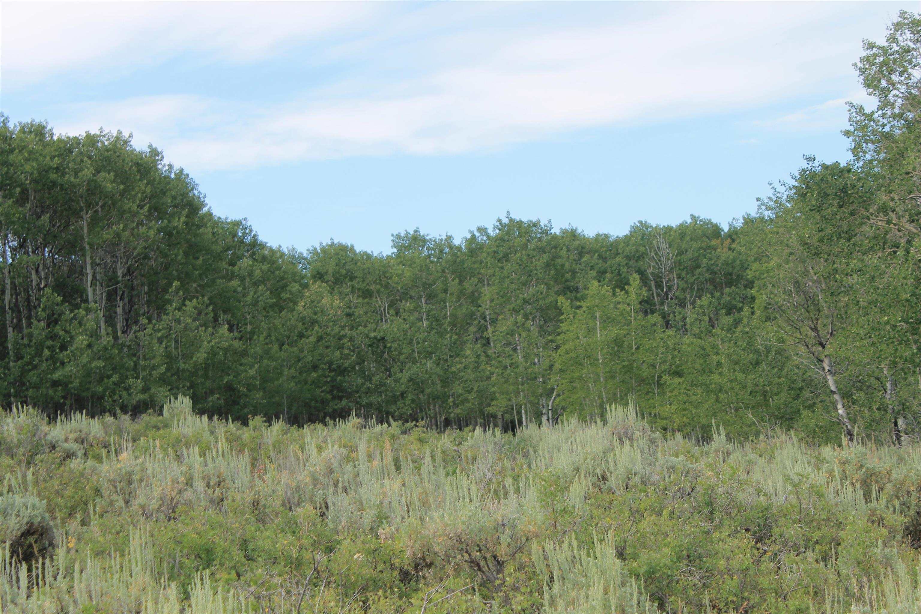 0 County Road 305 Kemmerer, WY 83101 - Photo 14 of 50
