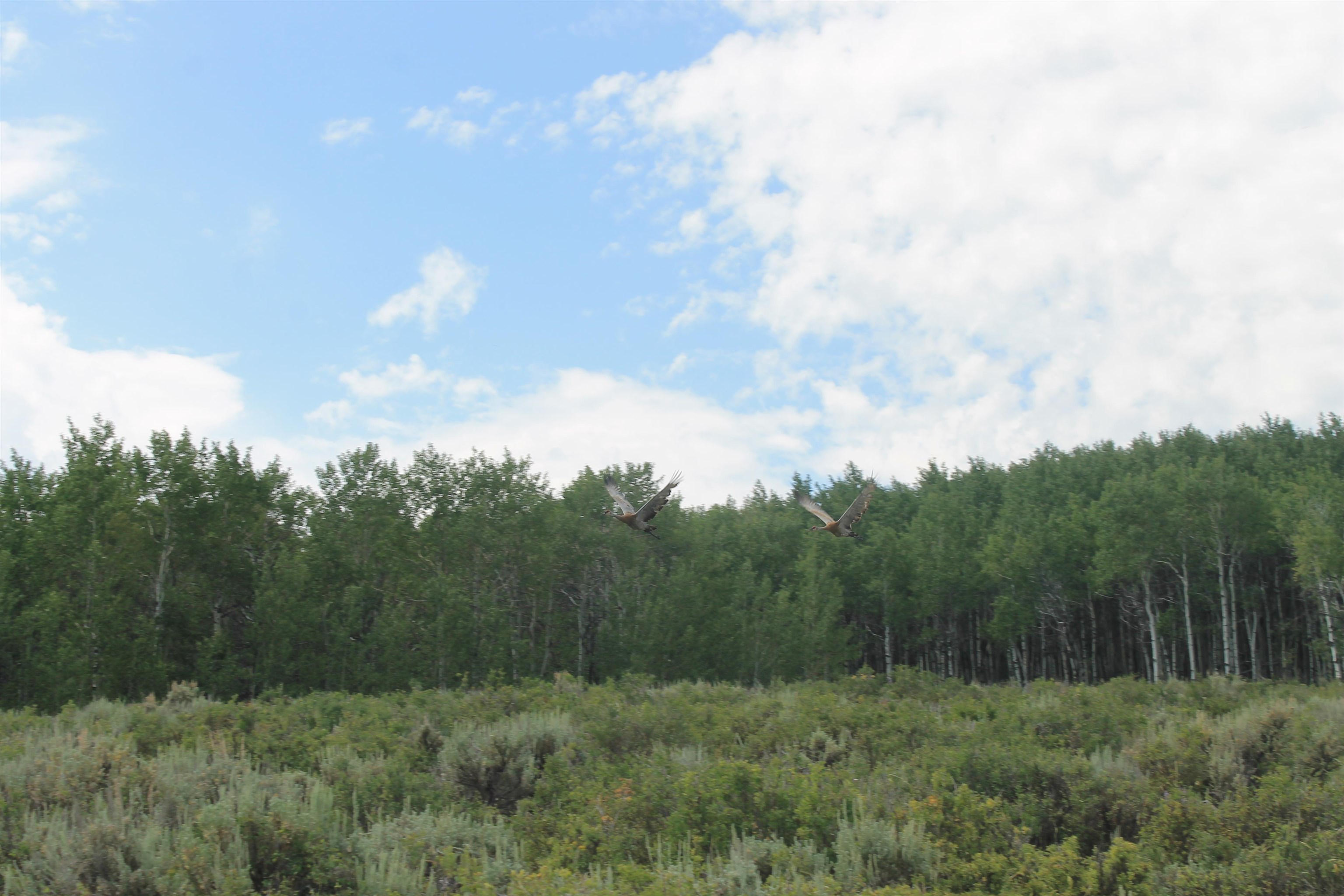 0 County Road 305 Kemmerer, WY 83101 - Photo 15 of 50