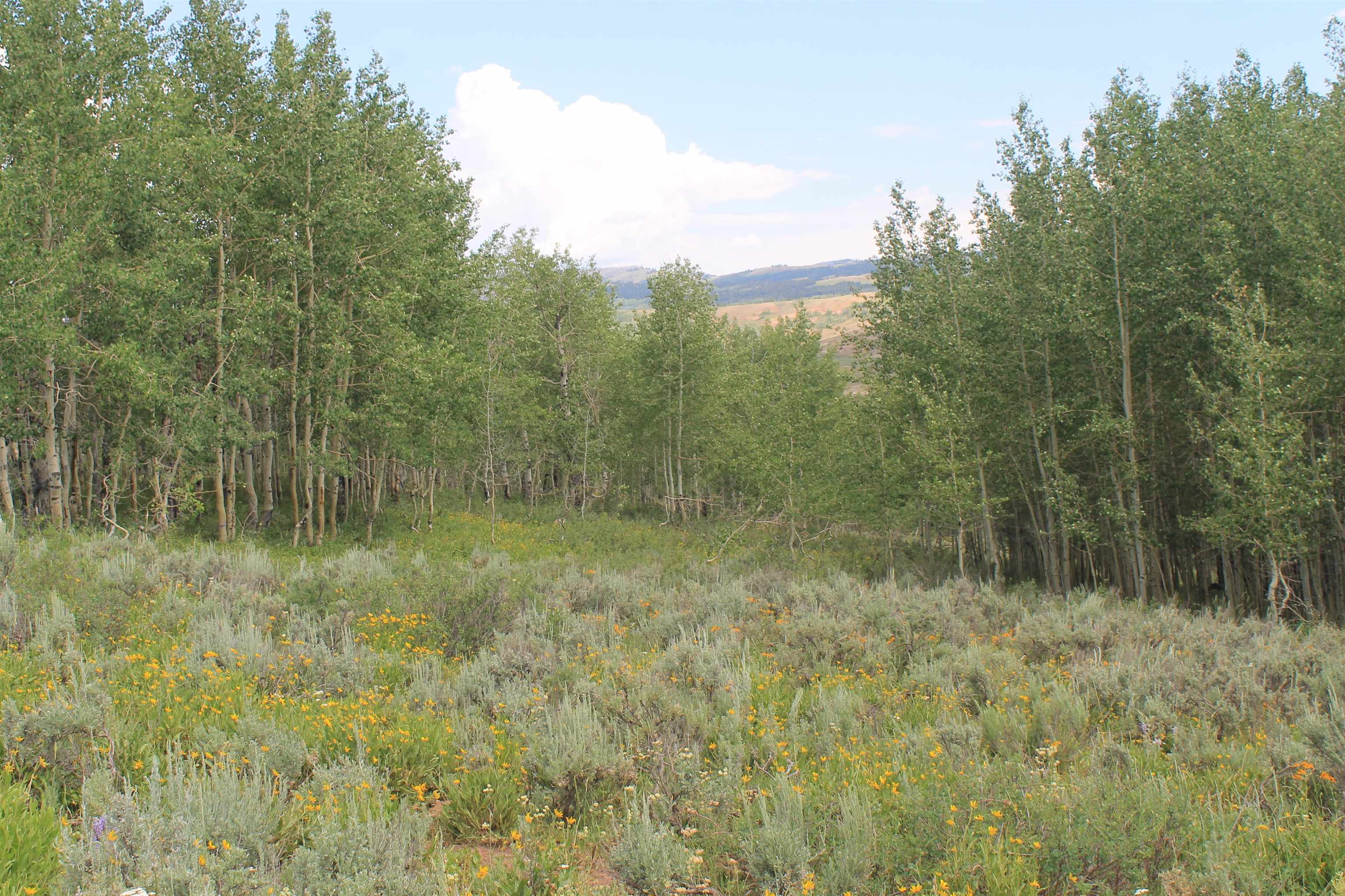 0 County Road 305 Kemmerer, WY 83101 - Photo 22 of 50