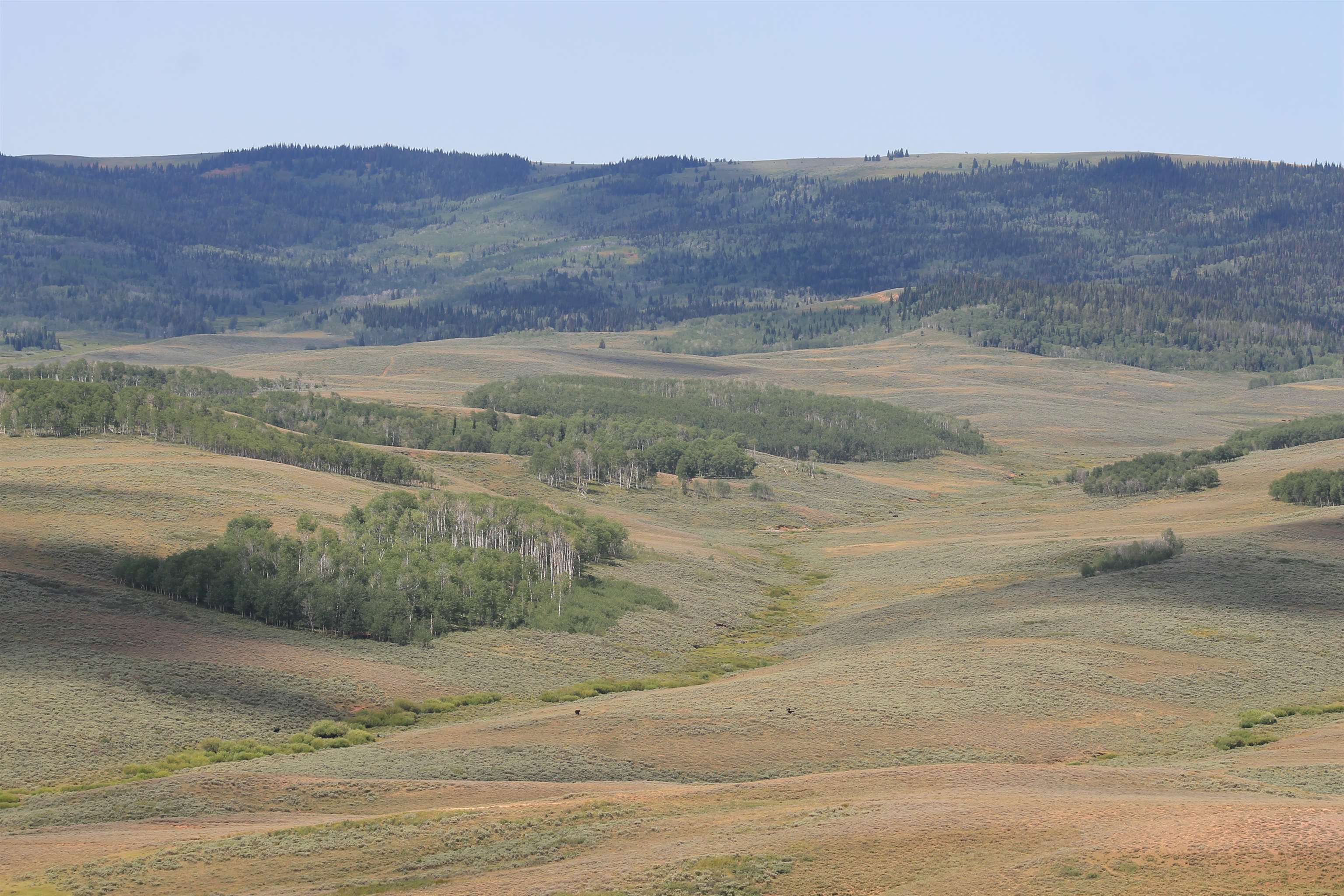 0 County Road 305 Kemmerer, WY 83101 - Photo 23 of 50