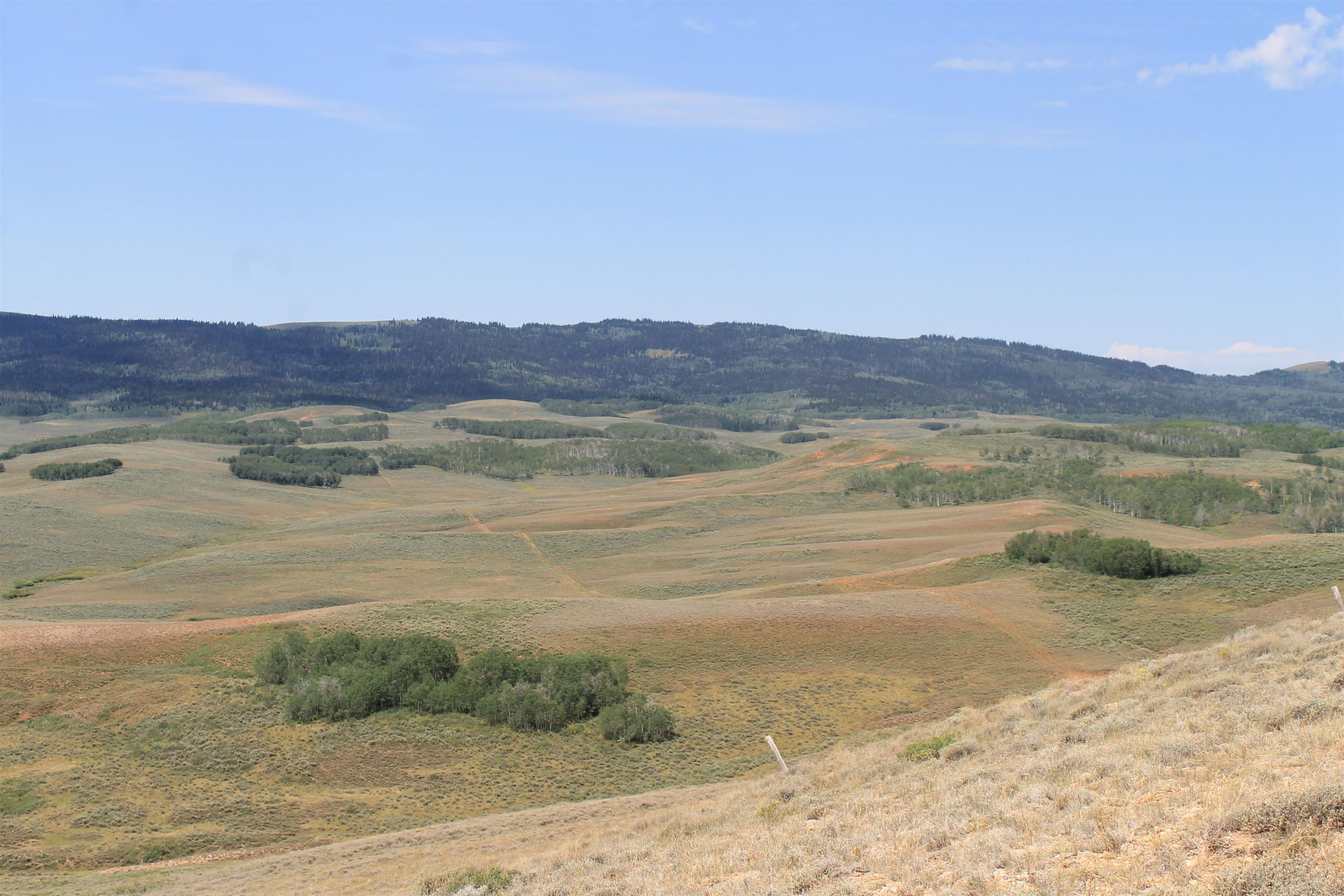 0 County Road 305 Kemmerer, WY 83101 - Photo 25 of 50